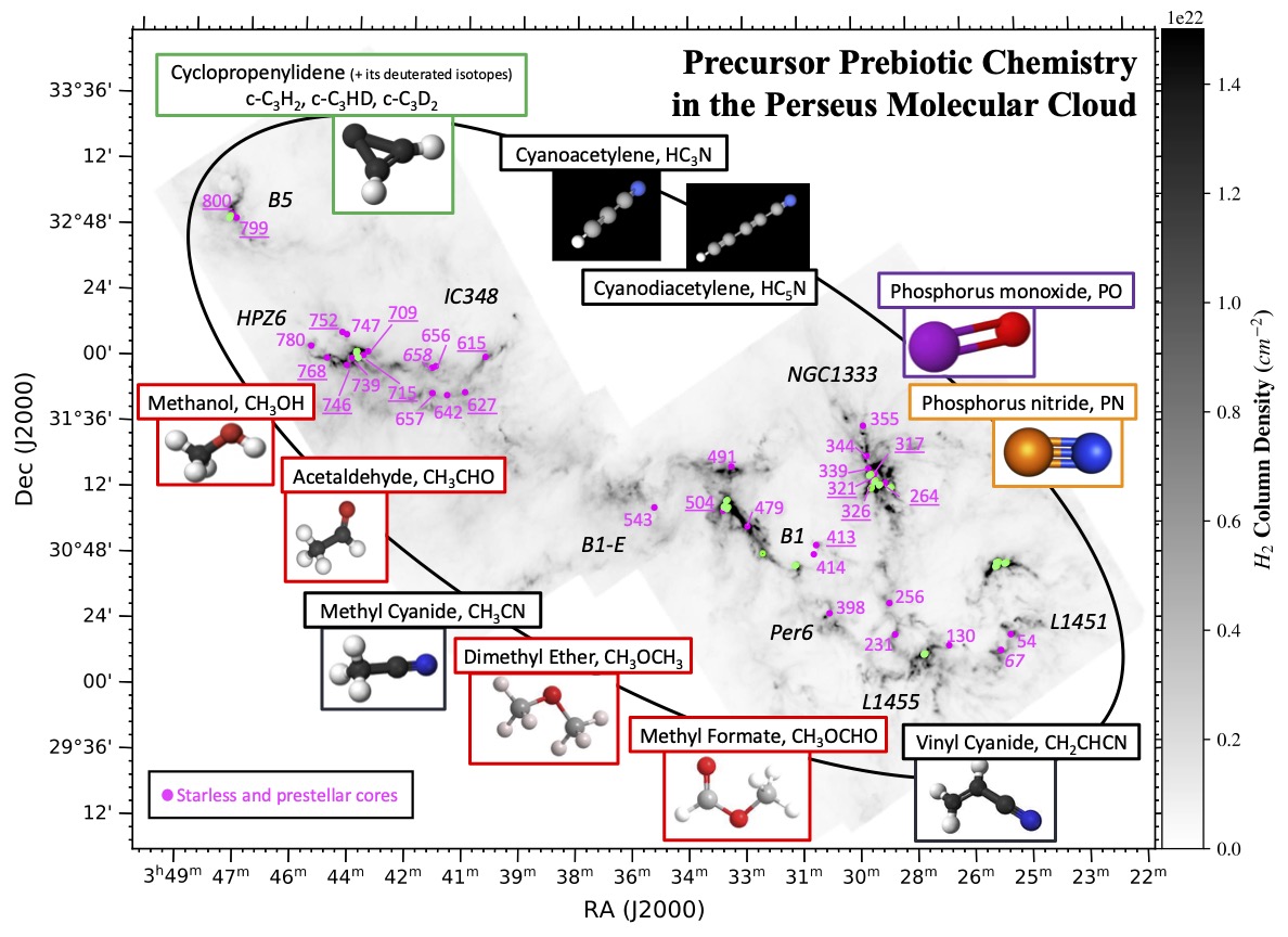 PerseusMolecules